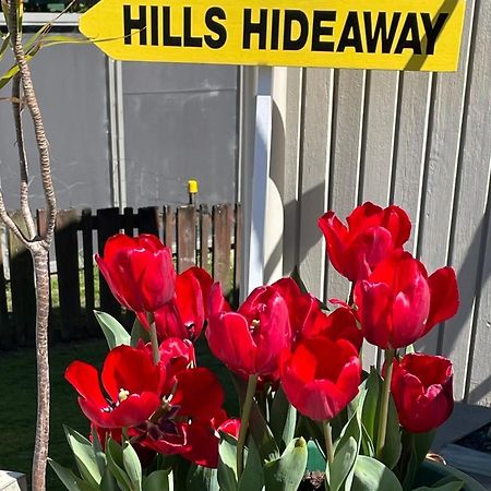 Hill'S Hideaway Hotel Dargaville Exterior foto